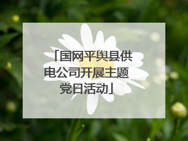 国网平舆县供电公司开展主题党日活动