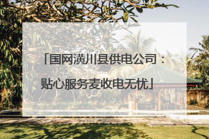 国网潢川县供电公司：贴心服务麦收电无忧