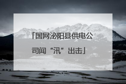 国网泌阳县供电公司闻“汛”出击