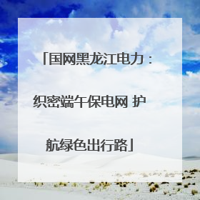 国网黑龙江电力：织密端午保电网 护航绿色出行路