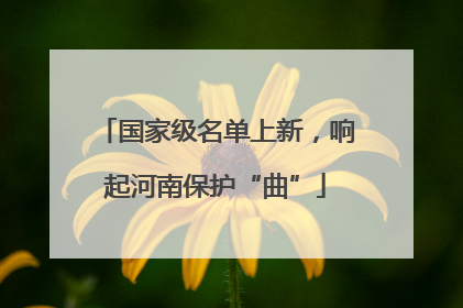 国家级名单上新，响起河南保护“曲”