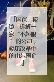 国资三棱镜｜拆解一家“不起眼”的公司，窥见改革中的山东国企