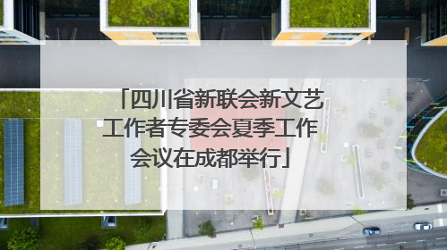 四川省新联会新文艺工作者专委会夏季工作会议在成都举行