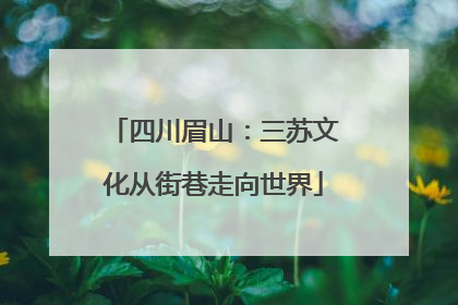 四川眉山：三苏文化从街巷走向世界