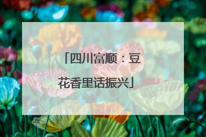 四川富顺：豆花香里话振兴