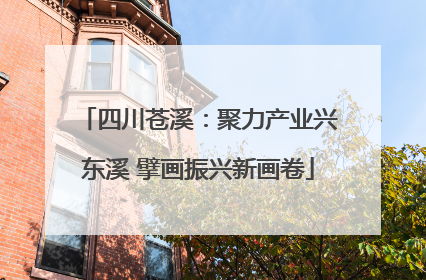 四川苍溪：聚力产业兴东溪 擘画振兴新画卷