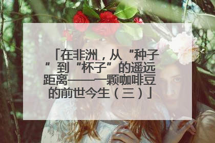 在非洲，从“种子”到“杯子”的遥远距离——一颗咖啡豆的前世今生（三）