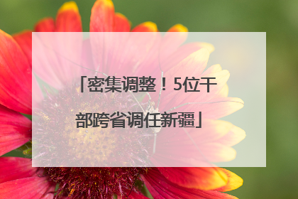 密集调整！5位干部跨省调任新疆