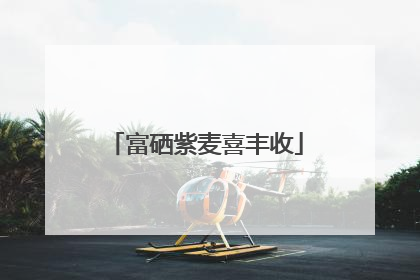 富硒紫麦喜丰收