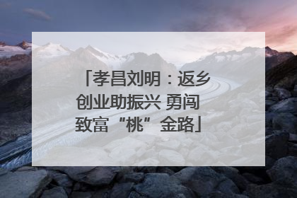 孝昌刘明：返乡创业助振兴 勇闯致富“桃”金路