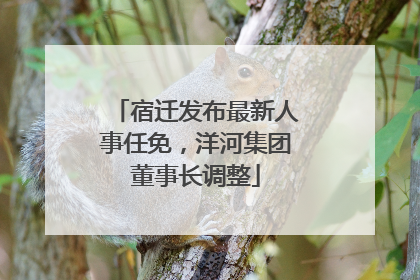 宿迁发布最新人事任免，洋河集团董事长调整