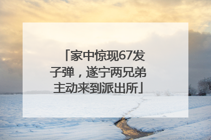 家中惊现67发子弹，遂宁两兄弟主动来到派出所