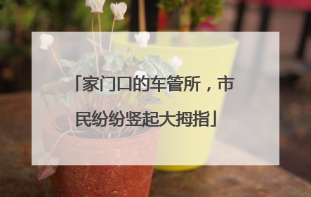 家门口的车管所，市民纷纷竖起大拇指