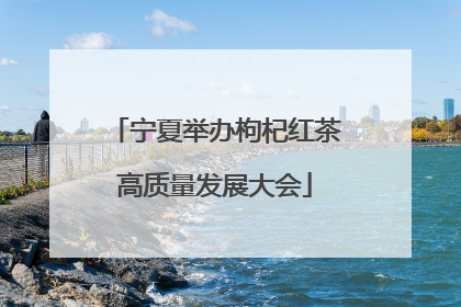 宁夏举办枸杞红茶高质量发展大会