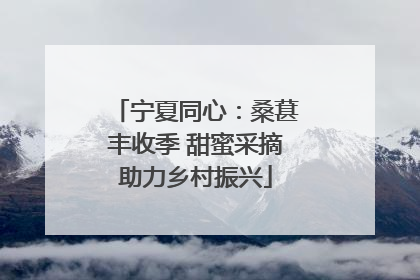 宁夏同心：桑葚丰收季 甜蜜采摘助力乡村振兴