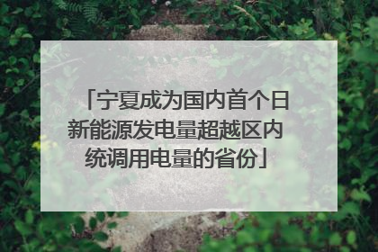宁夏成为国内首个日新能源发电量超越区内统调用电量的省份