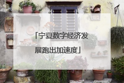 宁夏数字经济发展跑出加速度