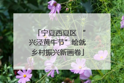 宁夏西夏区 “兴泾黄牛节”绘就乡村振兴新画卷