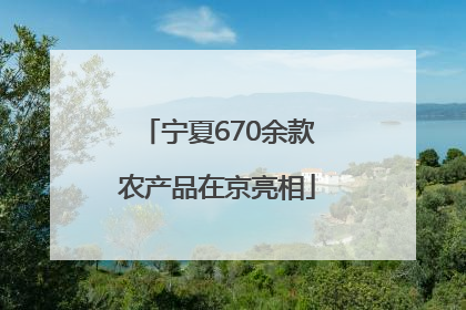 宁夏670余款农产品在京亮相