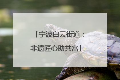 宁波白云街道：非遗匠心助共富