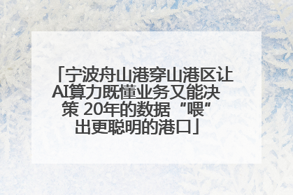 宁波舟山港穿山港区让AI算力既懂业务又能决策 20年的数据“喂”出更聪明的港口