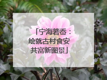 宁海箬岙：绘就古村食安共富新图景