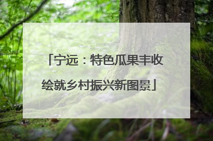 宁远：特色瓜果丰收绘就乡村振兴新图景
