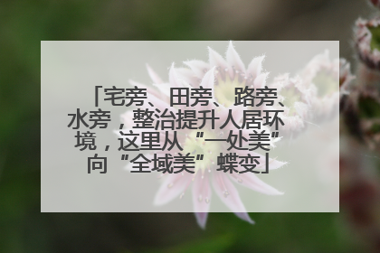 宅旁、田旁、路旁、水旁，整治提升人居环境，这里从“一处美”向“全域美”蝶变