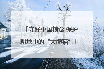 守好中国粮仓 保护耕地中的“大熊猫”