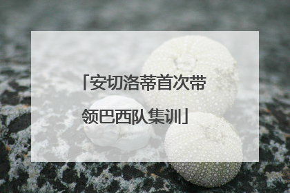 安切洛蒂首次带领巴西队集训