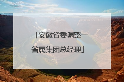 安徽省委调整一省属集团总经理