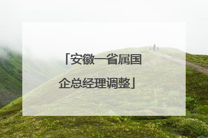 安徽一省属国企总经理调整