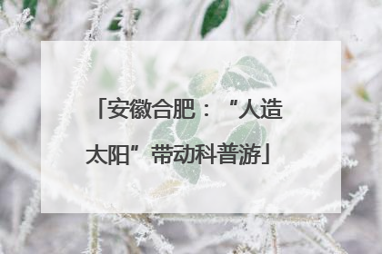 安徽合肥：“人造太阳”带动科普游