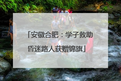 安徽合肥：学子救助昏迷路人获赠锦旗