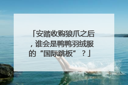 安踏收购狼爪之后，谁会是鸭鸭羽绒服的“国际跳板”？
