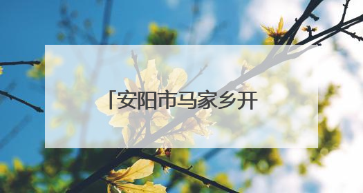 安阳市马家乡开展敬老院食品安全检查 守护“舌尖上的安全”
