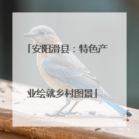 安阳滑县：特色产业绘就乡村图景