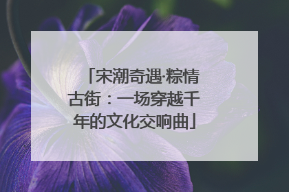 宋潮奇遇·粽情古街：一场穿越千年的文化交响曲