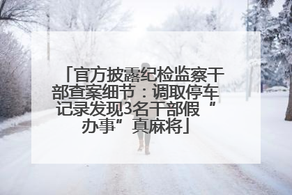 官方披露纪检监察干部查案细节：调取停车记录发现3名干部假“办事”真麻将