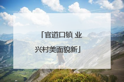 官道口镇 业兴村美面貌新
