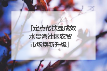 定点帮扶显成效 水景湾社区农贸市场焕新升级