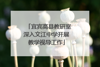 宜宾高县教研室深入文江中学开展教学视导工作