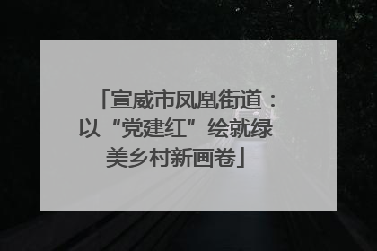 宣威市凤凰街道：以“党建红”绘就绿美乡村新画卷