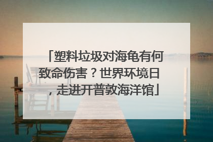 塑料垃圾对海龟有何致命伤害？世界环境日，走进开普敦海洋馆