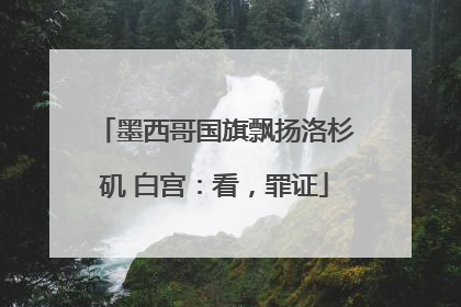 墨西哥国旗飘扬洛杉矶 白宫：看，罪证