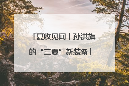 夏收见闻丨孙洪旗的“三夏”新装备