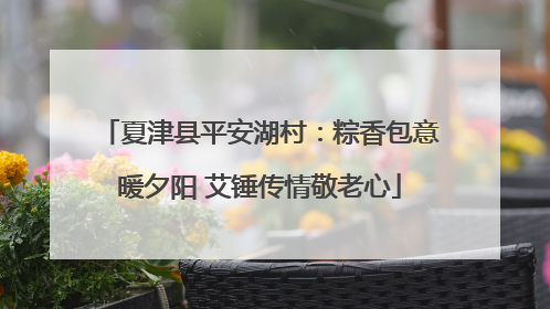 夏津县平安湖村：粽香包意暖夕阳 艾锤传情敬老心