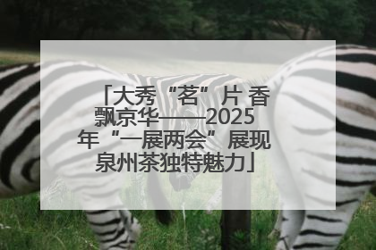 大秀“茗”片 香飘京华——2025年“一展两会”展现泉州茶独特魅力