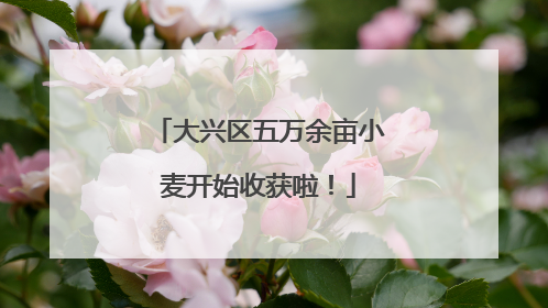 大兴区五万余亩小麦开始收获啦！