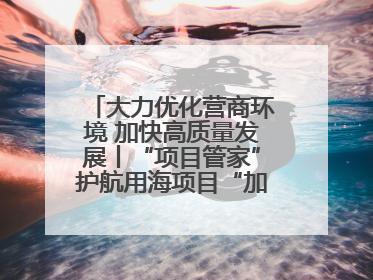 大力优化营商环境 加快高质量发展丨“项目管家”护航用海项目“加速跑”